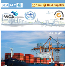Fracht Spediteur / Logistik Service Von China nach Chile